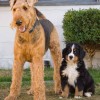 BarleyAndKeegan