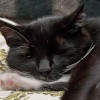 McMillin_092710_00005