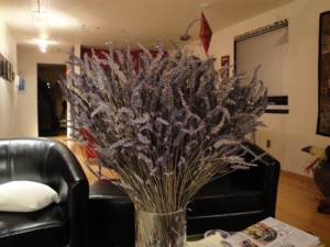 lavender