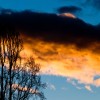 Nature Copyright (c) 2011 by Danny L. McMillin