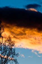 Nature Copyright (c) 2011 by Danny L. McMillin